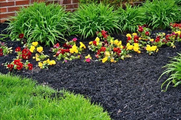 Apartment Mulching in Asheville